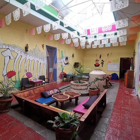 Iguana Hostel Oaxaca מראה חיצוני תמונה