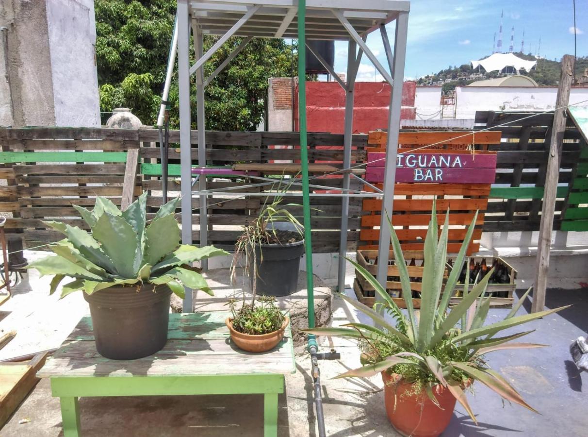 Iguana Hostel Oaxaca מראה חיצוני תמונה