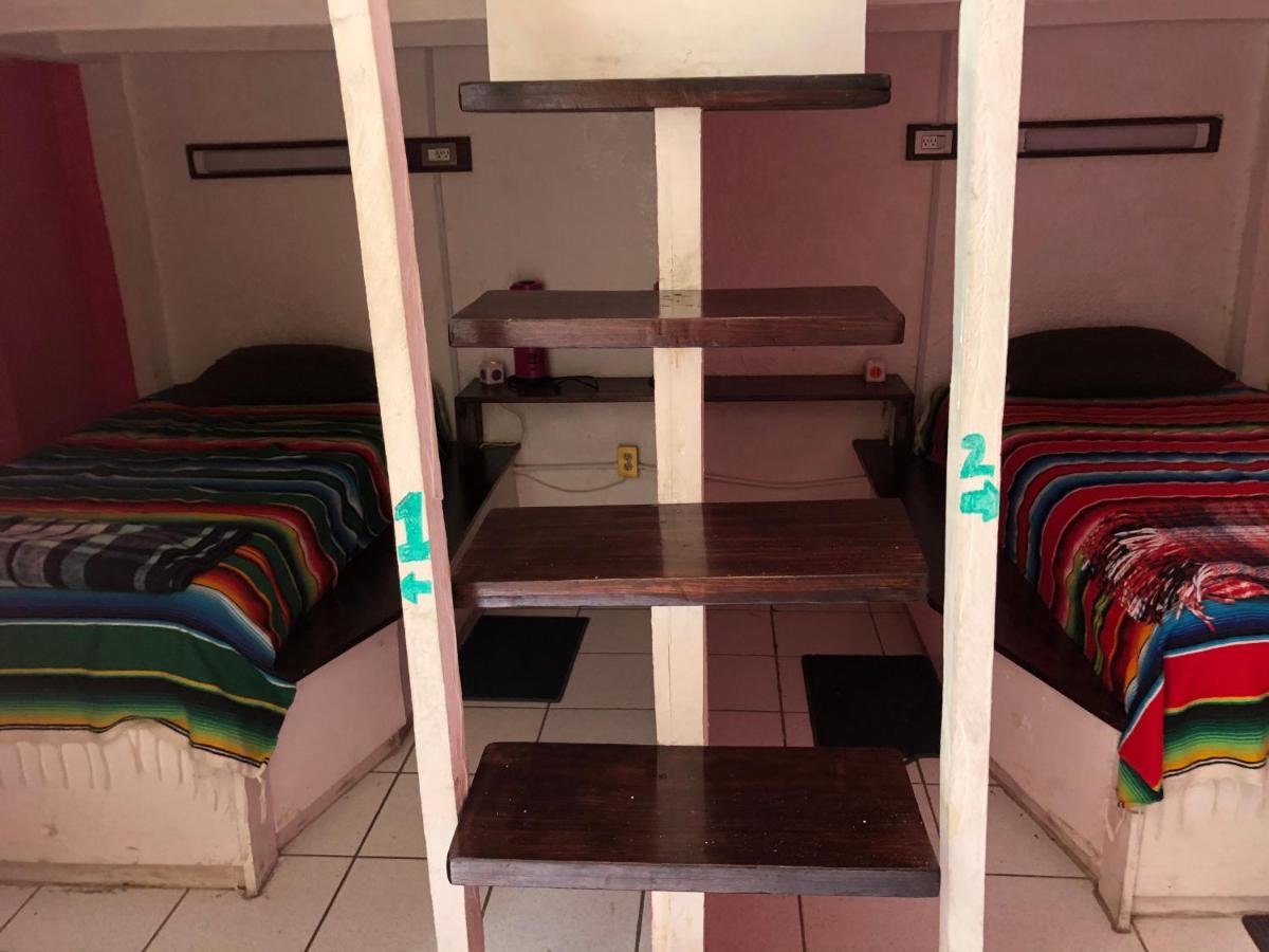 Iguana Hostel Oaxaca מראה חיצוני תמונה