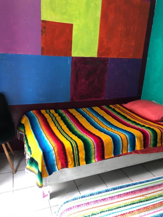 Iguana Hostel Oaxaca מראה חיצוני תמונה