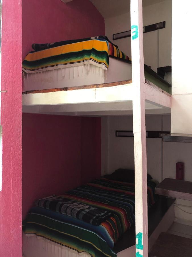 Iguana Hostel Oaxaca מראה חיצוני תמונה