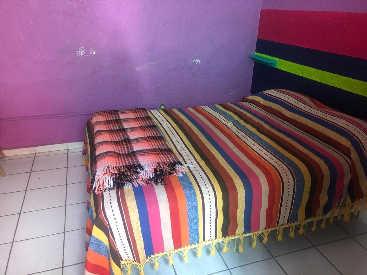 Iguana Hostel Oaxaca מראה חיצוני תמונה