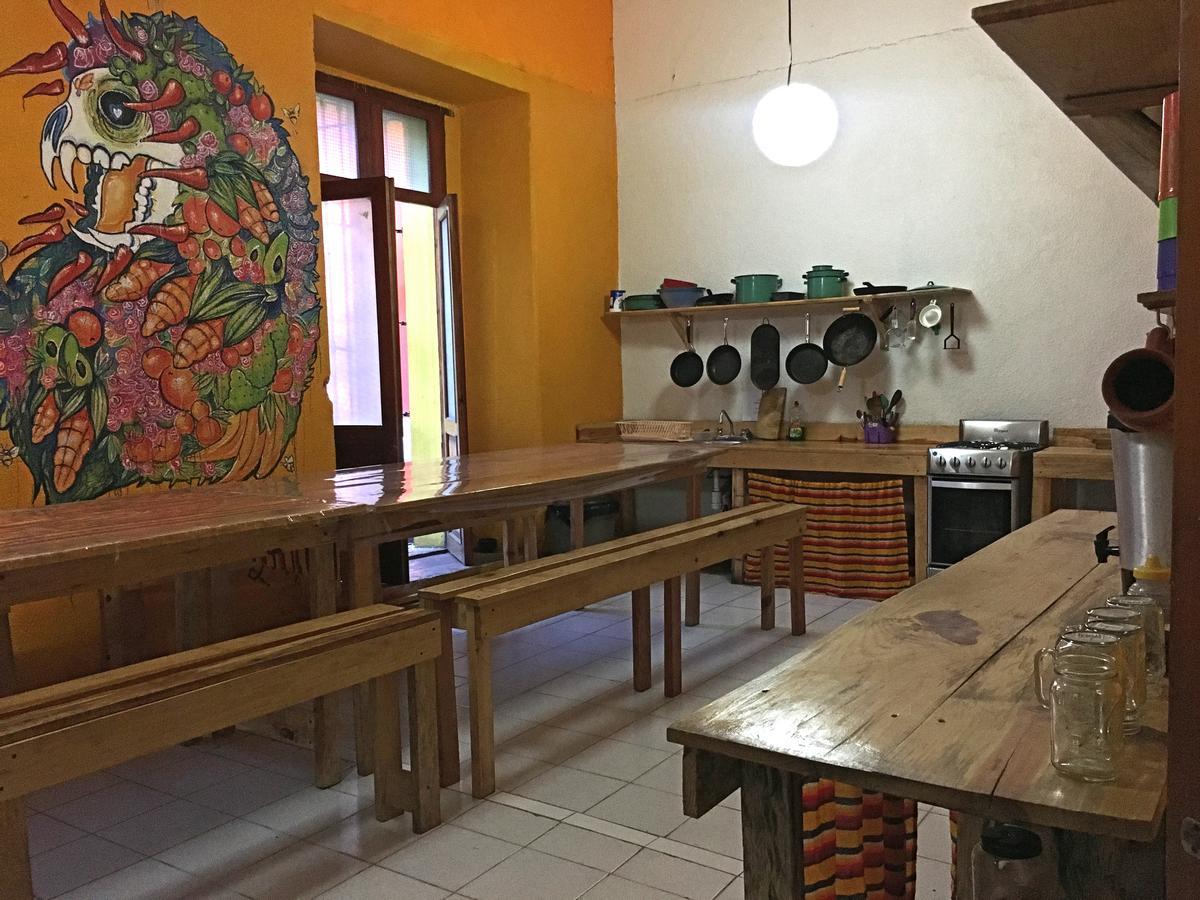 Iguana Hostel Oaxaca מראה חיצוני תמונה