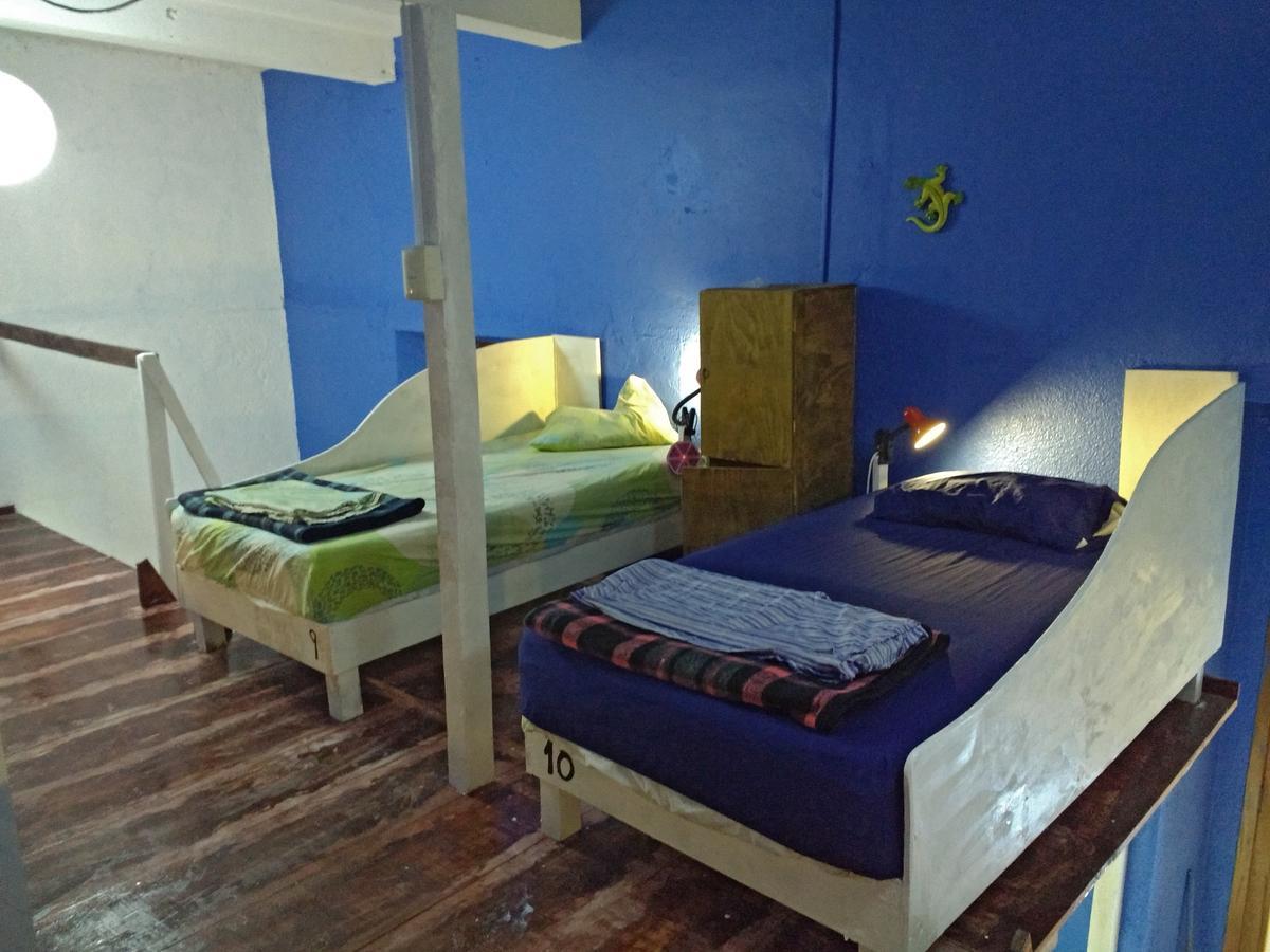 Iguana Hostel Oaxaca מראה חיצוני תמונה