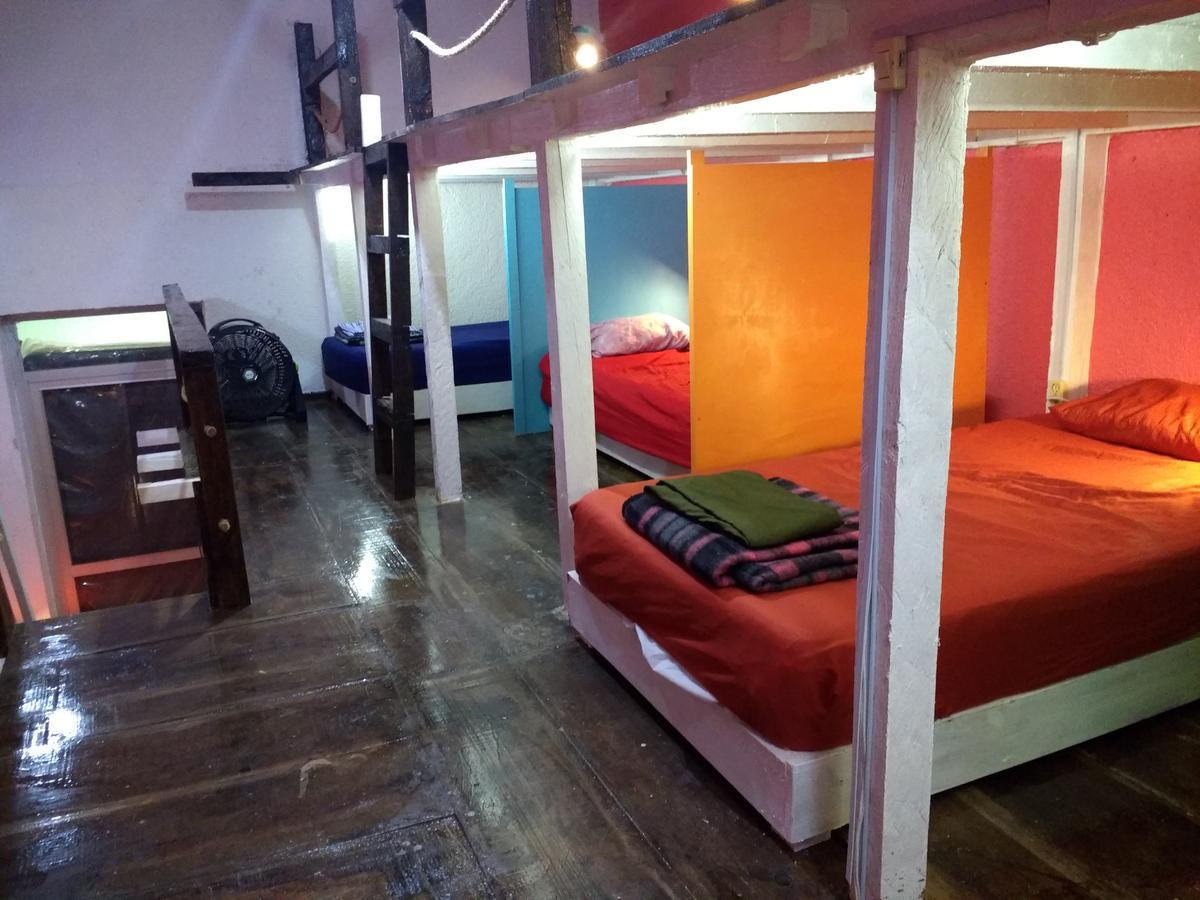 Iguana Hostel Oaxaca מראה חיצוני תמונה