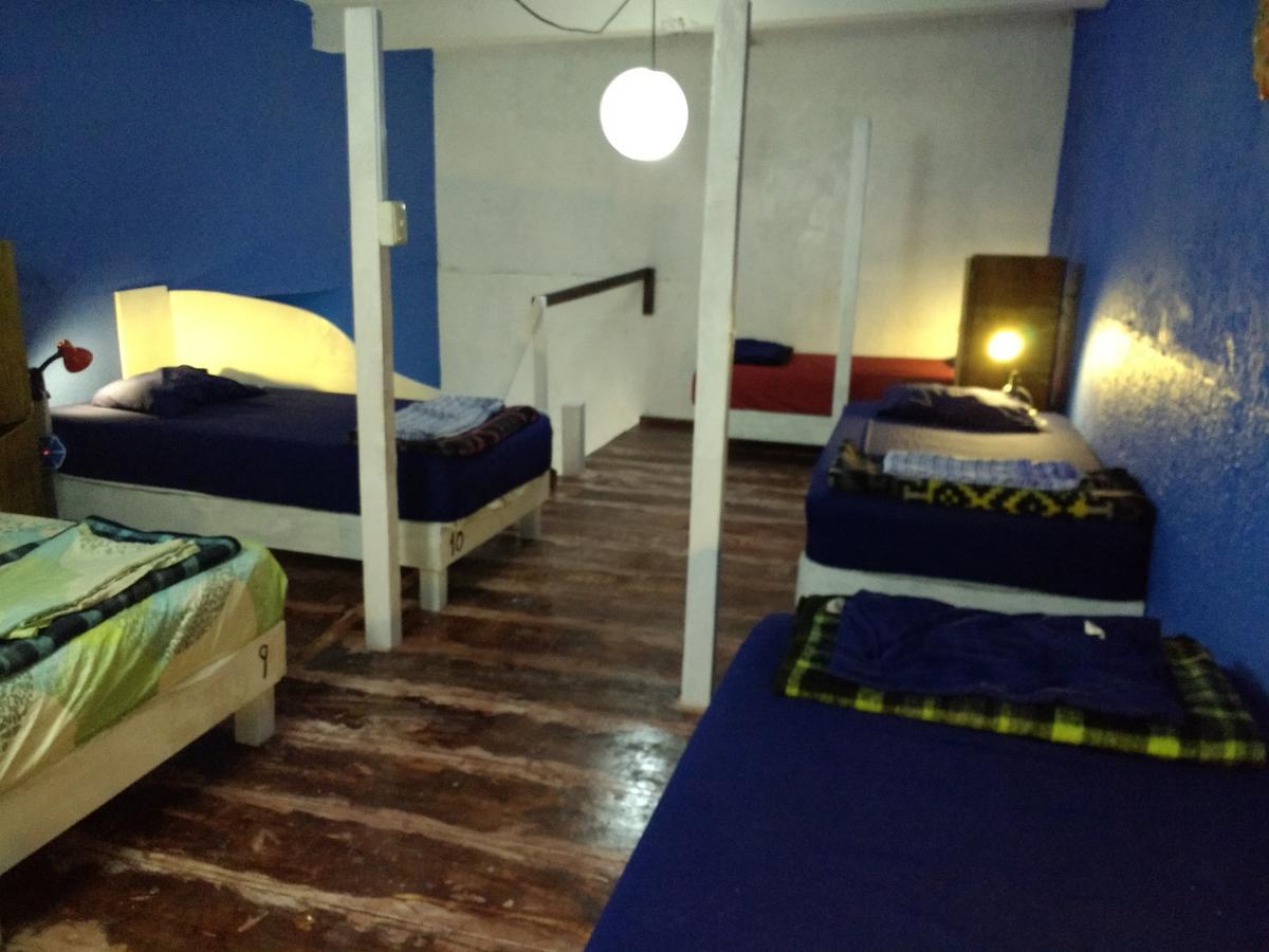 Iguana Hostel Oaxaca מראה חיצוני תמונה