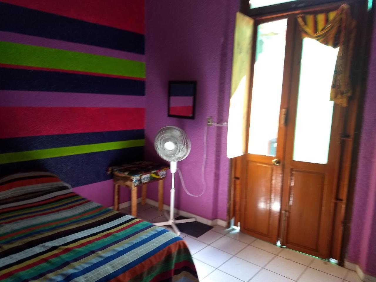 Iguana Hostel Oaxaca מראה חיצוני תמונה