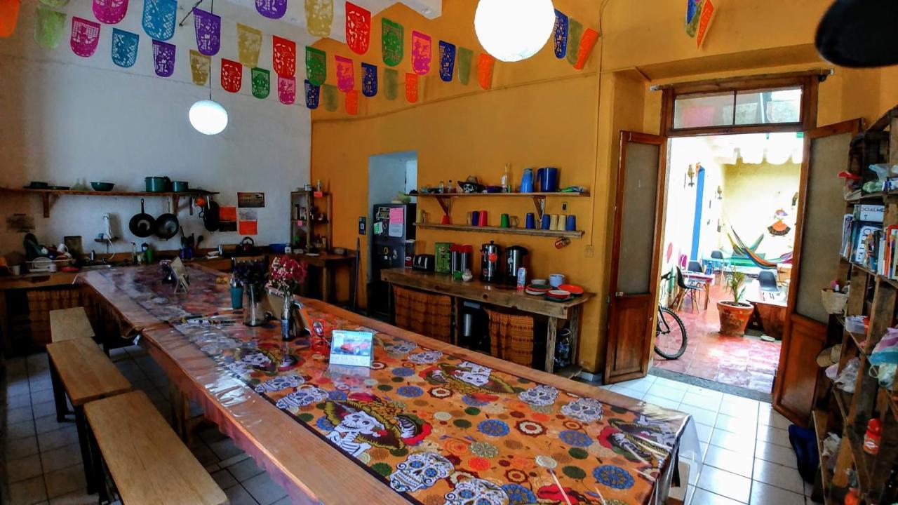 Iguana Hostel Oaxaca מראה חיצוני תמונה